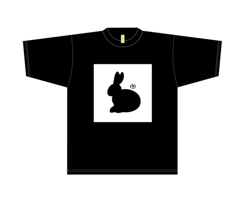 MR BUNNY